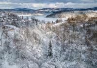 Domek LUNA - Bed and Breakfast Olchowiec