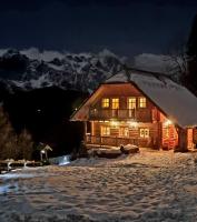 Holiday chalet "ALPINE DREAMS" with PRIVATE WELLNESS - B&B Solčava