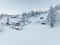Apartment mit Gartenblick