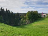 3-Raum Superior Komfort-Terrassen-Appartement - Chambres d’hôtes