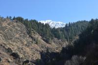 Family Room with Balcony