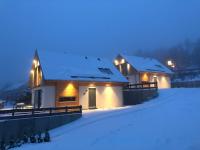 Ferienhaus Mountain View Six53 mit Sauna und Kamin in St. Andreasberg - Ferienwohnung St. Andreasberg