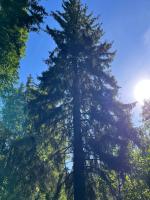 Krásný apartmán uprostřed Jeseníků - Chambres d’hôtes Bruntál