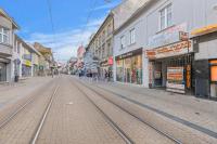 Charming Apt in Centre /w AC - B&B Bratislava