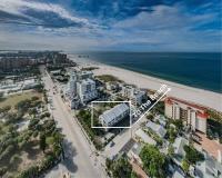 Fins Up in Clearwater Beach - B&B Clearwater Beach