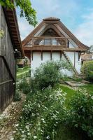 Suite con 1 Camera da Letto