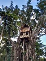 Glowing Mountain view tree house