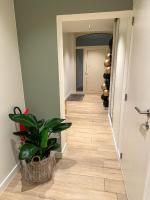 Vakantiehuis Maison Madeleine centrum Ieper - B&B Ieper