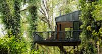Te Aka Treehouse - B&B Nelson Creek