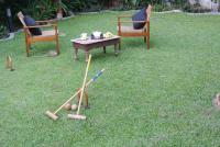 "27" Spathodea- Oasis in the City - B&B Colombo