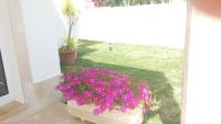 Casa do Mar by Laranjal Rentals - B&B
