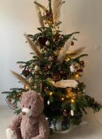 CLOS DE LA BRIQUETERIE - Ferienwohnung Noyers-sur-Cher