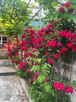 Villa Mar Vintage Apartments - B&B Ragusa