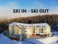 Residenz Grafenmatt Feldberg - B&B Feldberg