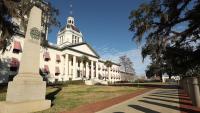 Fantastic Gem Minutes from Campus/Stadium, Capitol - B&B Tallahassee