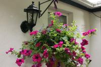 Donnybrook Hall - B&B