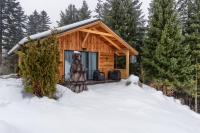 Domek Leśny - B&B