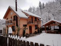 Casa Iulia & Matei - Ferienwohnung Cârţişoara