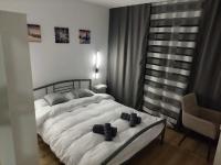 Olive Apartment - Ferienwohnung Lupeni