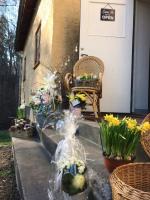 Gamla Badhuset - B&B Borgvik