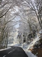 Ecouter le silence à LALOUVESC - B&B