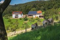 Grünewaldhof in Rimbach im Odenwald - Ferienwohnung Rimbach