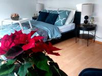 B&B Aquisgrana - Central and calm appartement in Aachen - Bed and Breakfast Aquisgrana