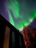 Aurora Forest Cabin - B&B Rovaniemi