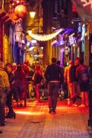 Le Liégeois - proche centre - Maison de maître - Chambres d’hôtes Liège