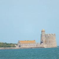 Les Aigrettes, en plein centre, à 200m de la plage - B&B Saint-Vaast-la-Hougue