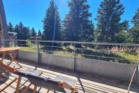 Chamrousse, 50m piste, wifi +, terrasse vue sapins - Bed and Breakfast Chamrousse