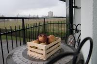 Deluxe Double or Twin Room with Balcony