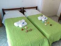 Budget Tweepersoonskamer met 2 Bedden en Uitzicht op de Tuin