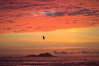 PÉ na Areia com Jacuzzi e Vista Incrível Para MAR! - Ferienwohnung Guarujá