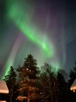 Authentic Log Cottage with Hot Tub - Chambres d’hôtes Ranua
