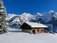 4 bedroom Chalet with panoramic view
