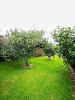 Orchard Cottage - Bed and Breakfast Dingle