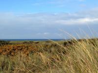 Kompass 52 - B&B Westerland