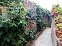 Casa da Judiaria Velha AP - B&B Viseu