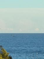 Casa Sarah - B&B Sanremo