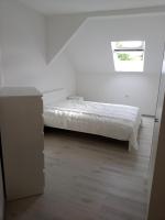 Gîte Maisons Bleues chez A et A WOLFF - B&B Rhinau