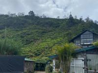 happy trust happy inn - B&B Nuwara Eliya