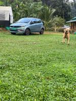 The Green Thumb Farm Stay - B&B Mundakāyam