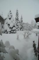 Landhaus Bachler - B&B Brixen im Thale