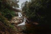 Stream Garden Mountain Resort - B&B Kalpatta
