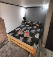 741 Slate Apartament Jedlina - Zdrój - B&B Jedlina-Zdrój