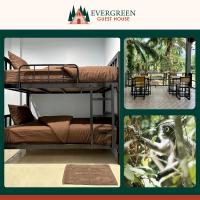 Evergreen Guest House - B&B g sag