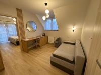 Studio with Sofa Bed