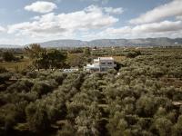 Hora Ionica Villa, Private Pool & 10acre GreenLand, By ThinkVilla - B&B