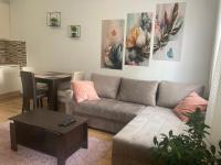 Alacaster G apartman FREE PARKING - Bed and Breakfast Novi Sad